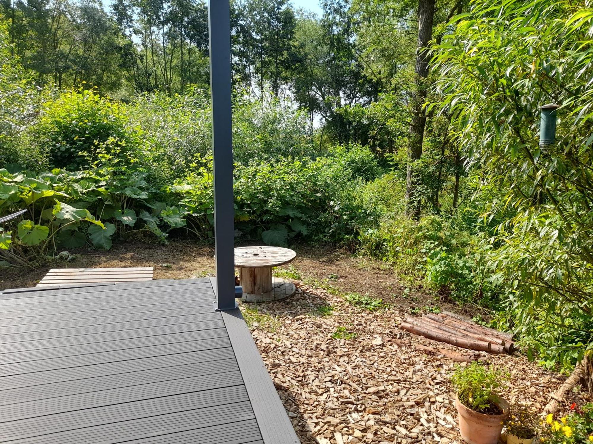 Salzhemmendorf Tiny House 14 - Sollbergヴィラ エクステリア 写真